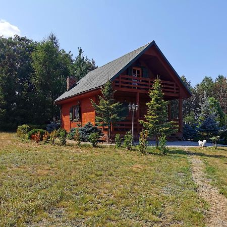 Domek Na Wsi Nad Jeziorem , Prywatny Staw Kamienczyk Dezerta Экстерьер фото